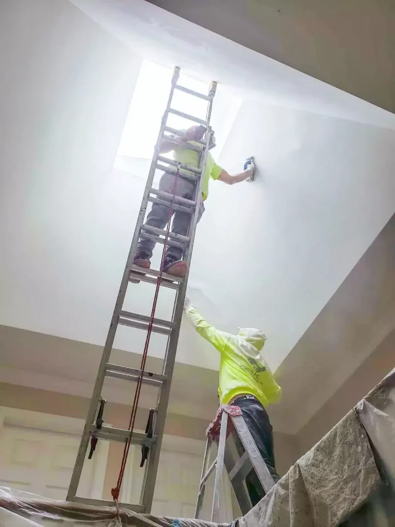 painters using ladder