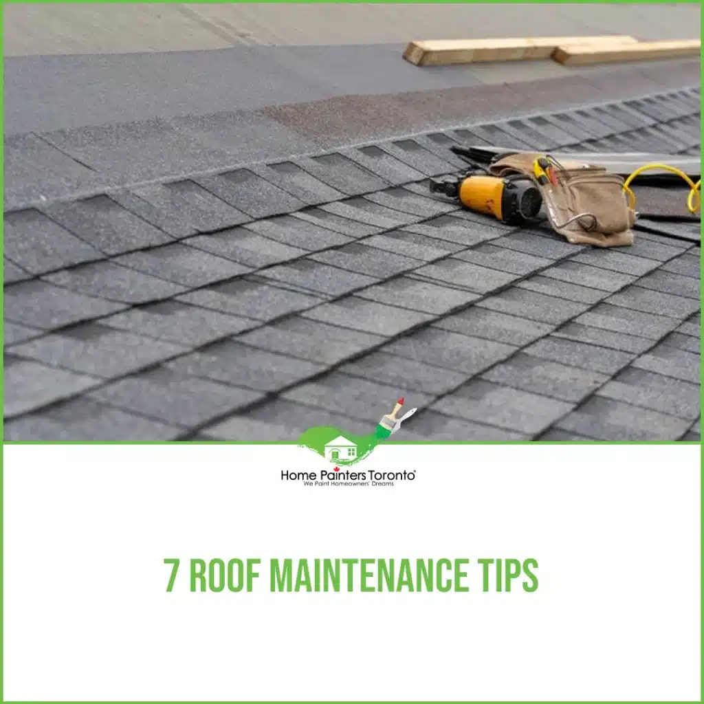 7 Roof Maintenance Tips