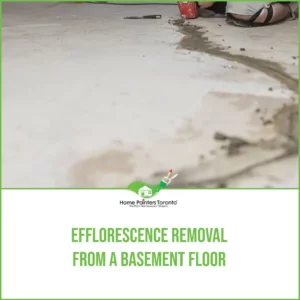Efflorescence Removal From A Basement Floor Image