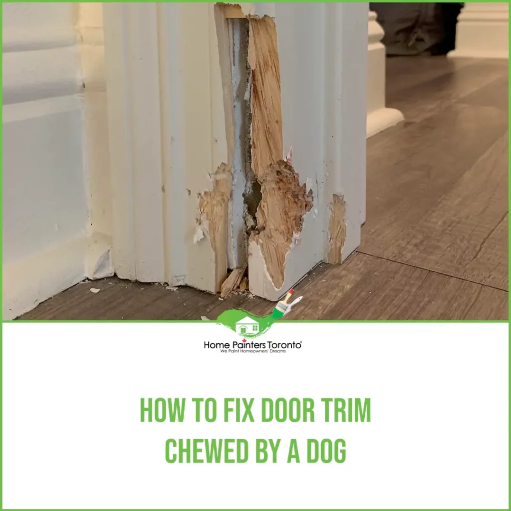 How To Fix Door Trim Chewed By A Dog featured