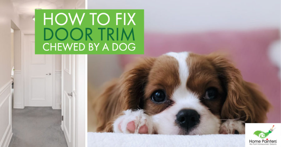 How To Fix Door Trim Chewed By A Dog - Home Painters Toronto