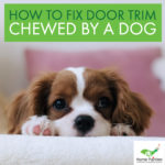 How to fix door trim chewed by a dog, dog chewed door frame , painting interior door, best paint for interior doors, door refinishing, door trim repair, how to fix door frame molding, how to repair door damaged by dog, how to fix door trim
