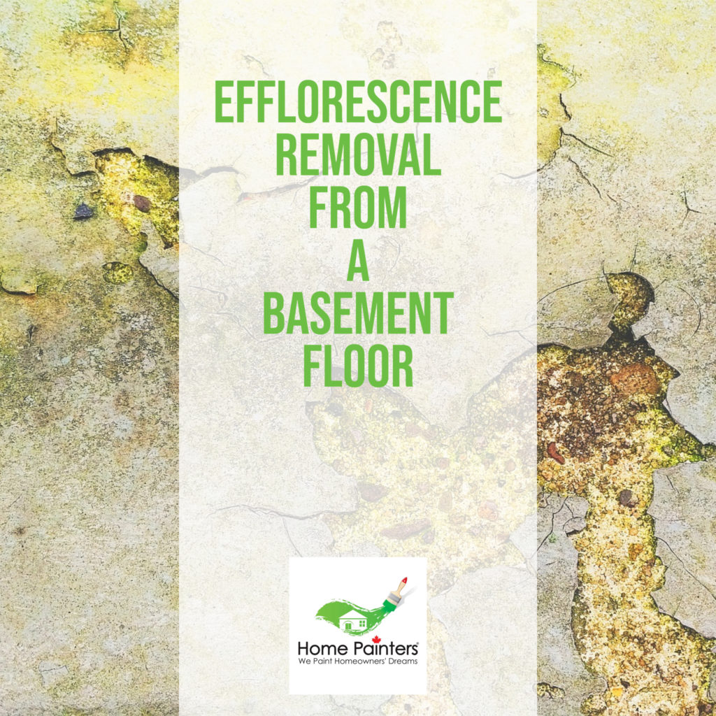 Featured image for efflorescence removal from a basement floor, basement refinishing projects