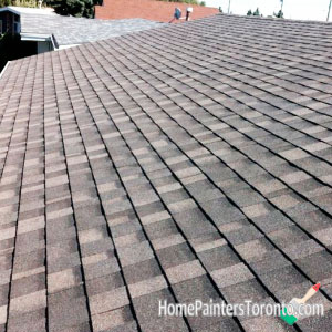 Roof Shingle