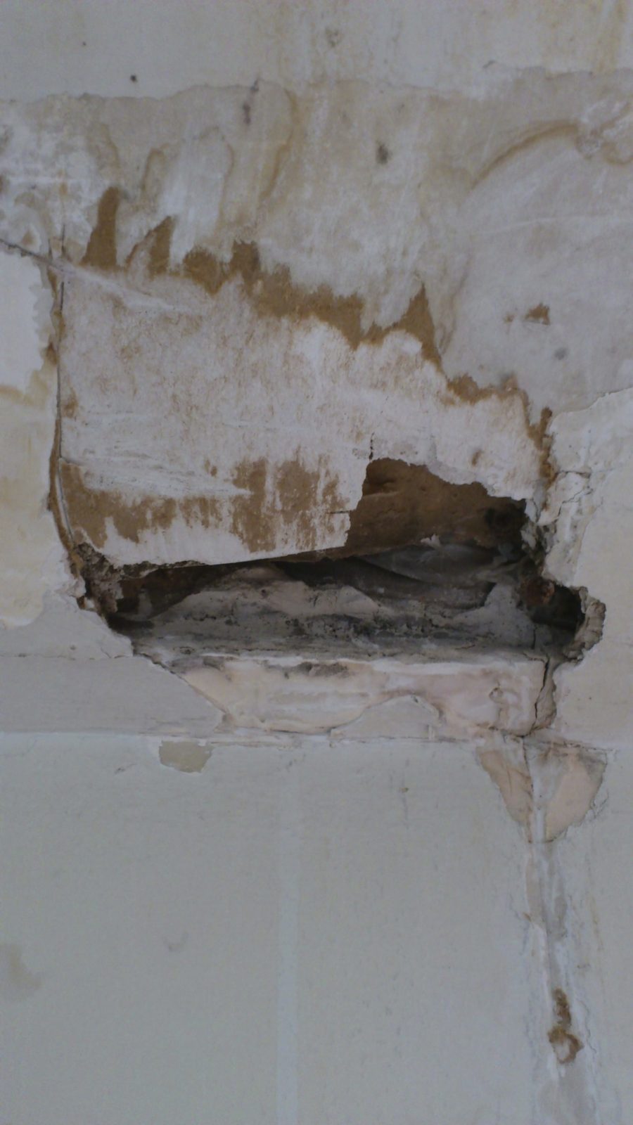 Terminite Damage to Drywall, basement drywall, drywall damage