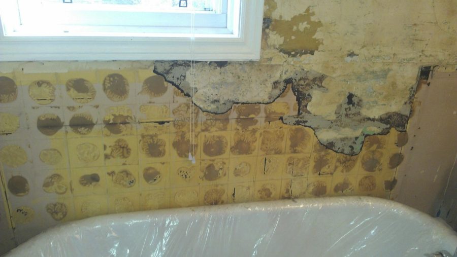 Water damaged wall in bathroom, water based paint, interior water based paint, drywall repair, how to fix drywall, drywall damage