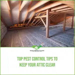 Top Pest Control Tips To Keep Your Attic Clear