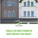 should I use brick staining or brick painting