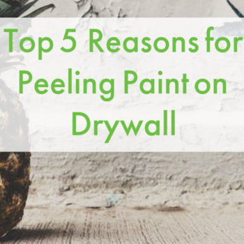 Peeling Paint on Drywall