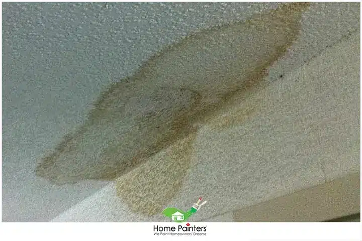 Stucco Ceiling with Water Stain