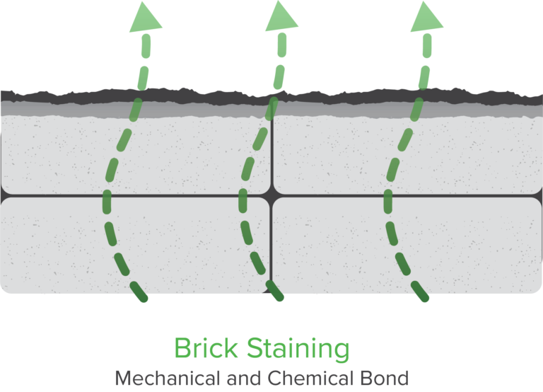 brick staining info graphic