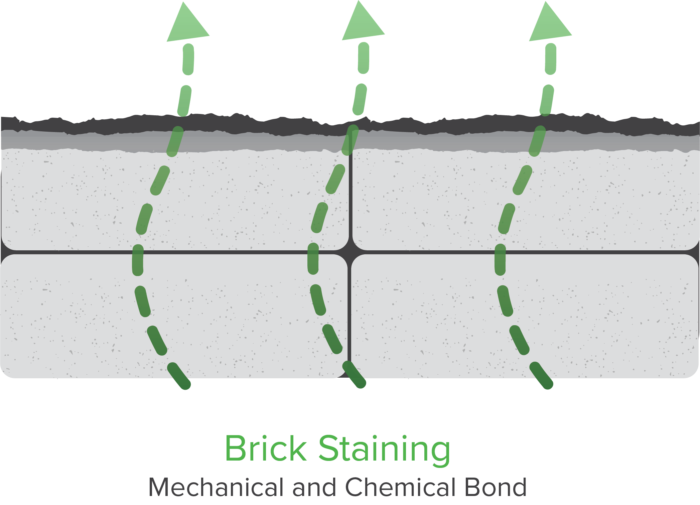 brick staining info graphic