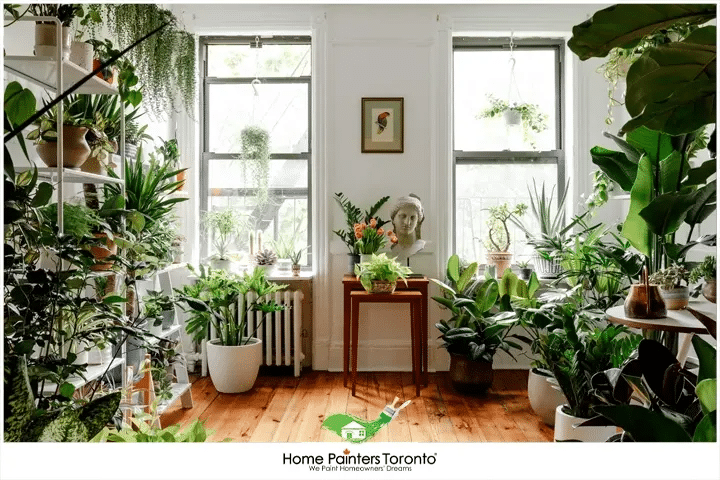 Interior With Plants