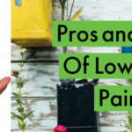 Pros and Cons Of Low VOC Paints