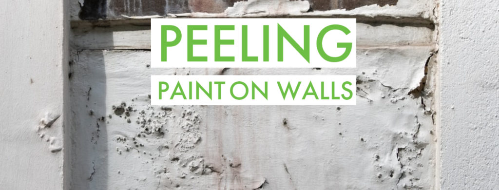 how to fix peeling paint on drywall, why is paint peeling off wall, why is the paint peeling off my walls