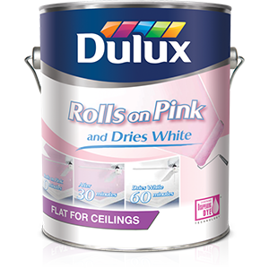 dulux rolls on pink ceiling paint, best interior ceiling paint