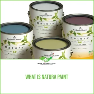 What Is Natura Paint Image