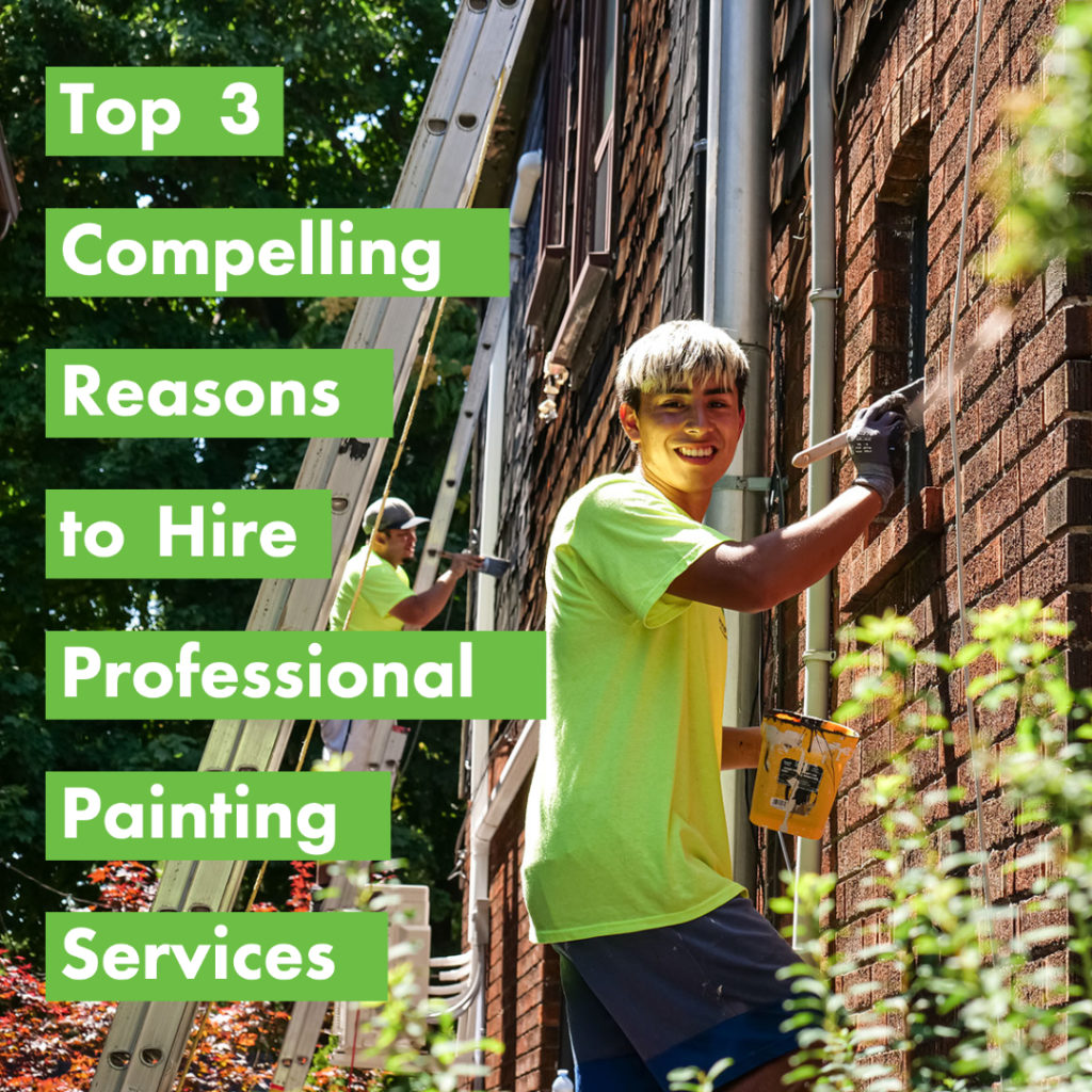 Top 3 Compelling Reasons to Hire Professional