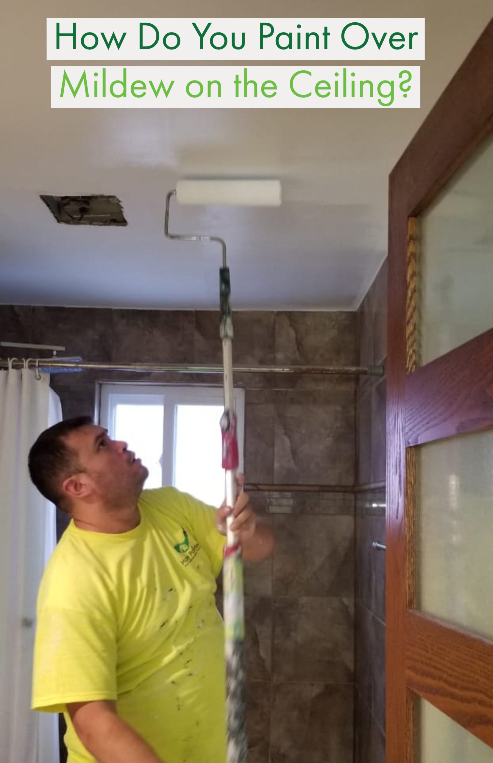 Everything You Need to Know About Bathroom Ceiling Painting