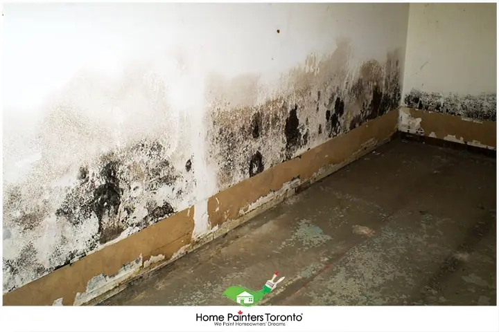 Moisture Damage on Drywall