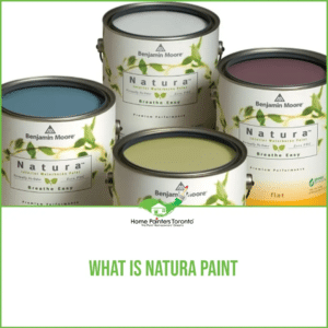 What Is Natura Paint