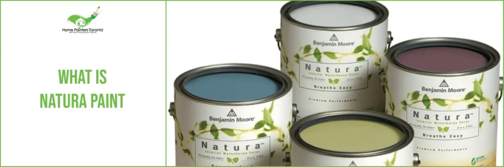 What Is Natura Paint