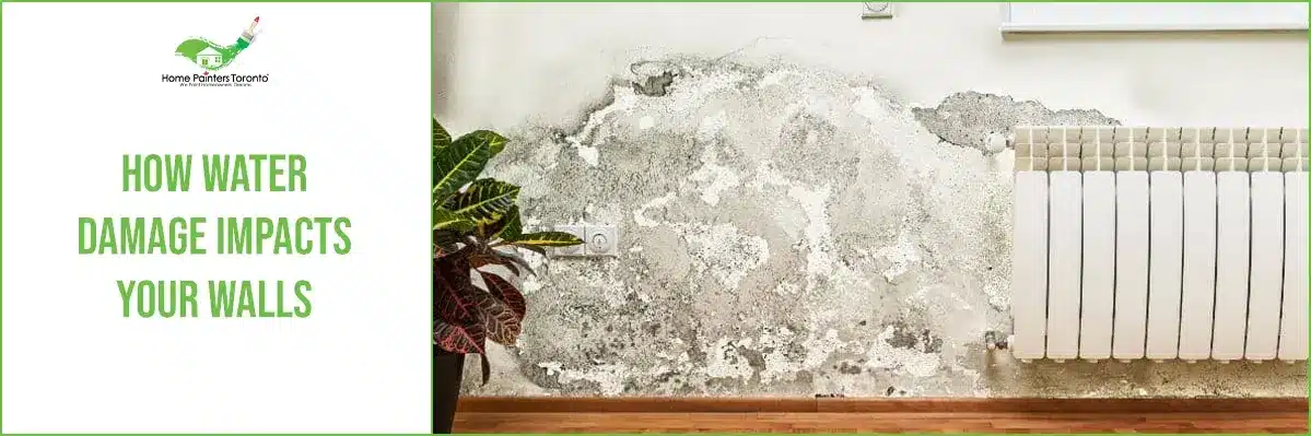 How Water Damage Impacts Your Walls Banner