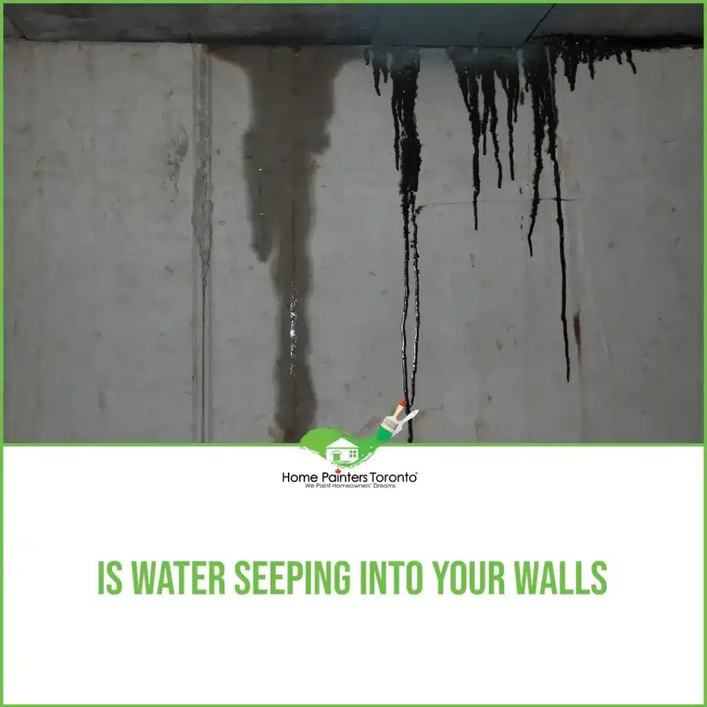 Is Water Seeping Into Your Walls?
