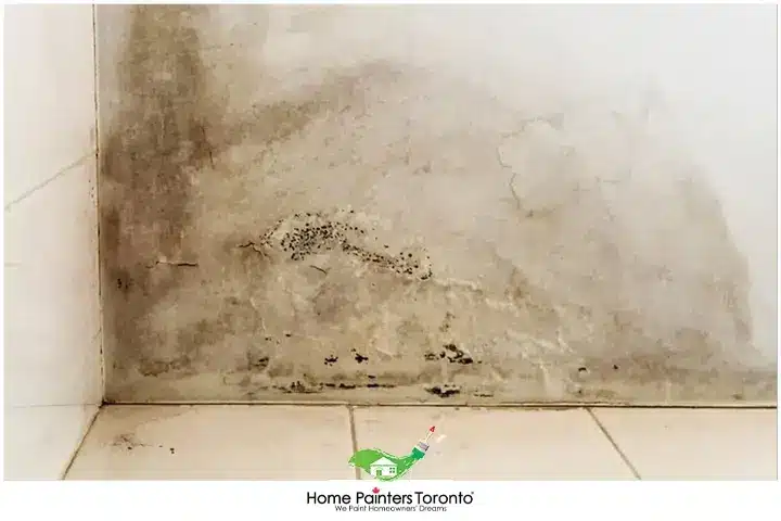 Water Damage on Walls 2