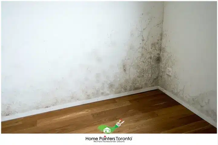 Water Damage on Walls