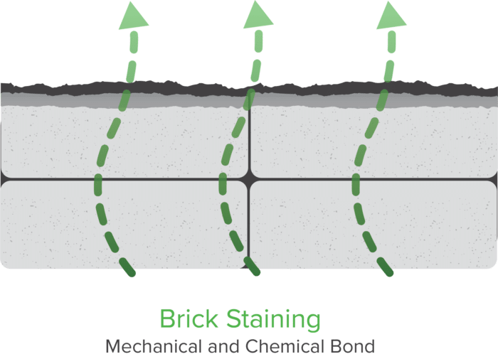 Superior to Brick Painting mechanical and chemical Bond