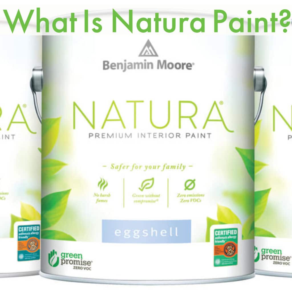 What is Natural Paint?