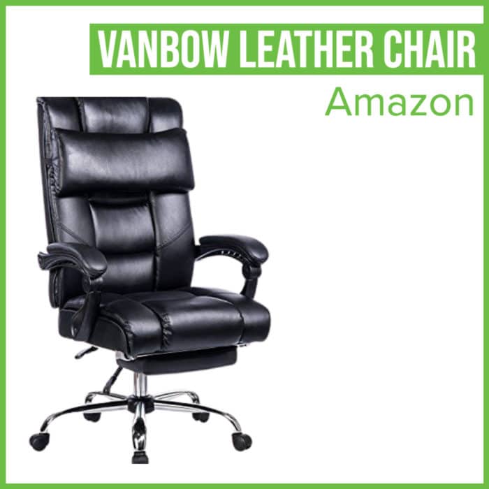 Vanbow Leather Chair