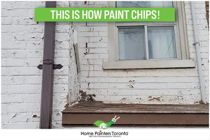 paint chips