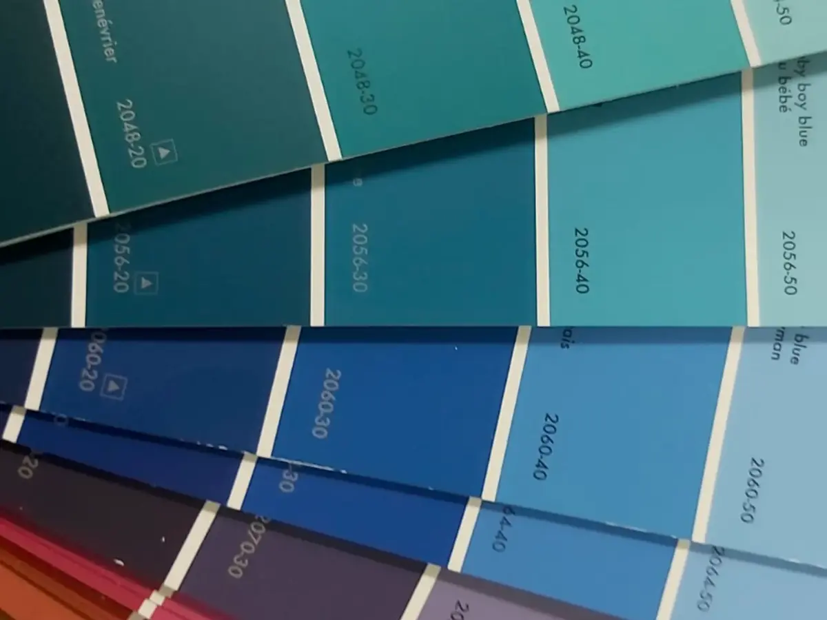 colour palette for consultation