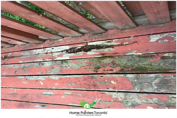 damaged wood planks