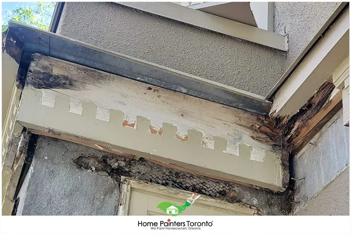 wood damaged by insects