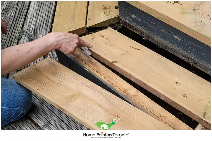 painter inspecting damage wood