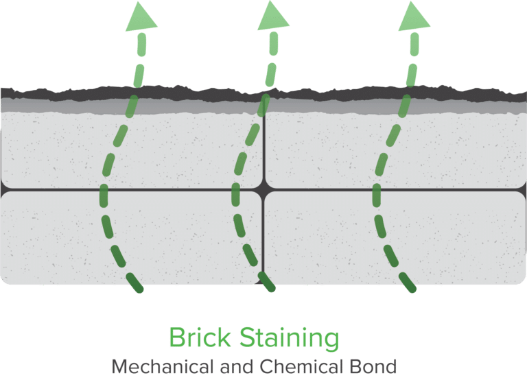 Brick Staining Mechanical and Chemical Bond