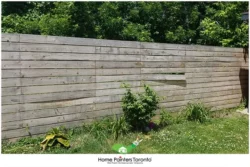 Loose or missing fence posts or boards
