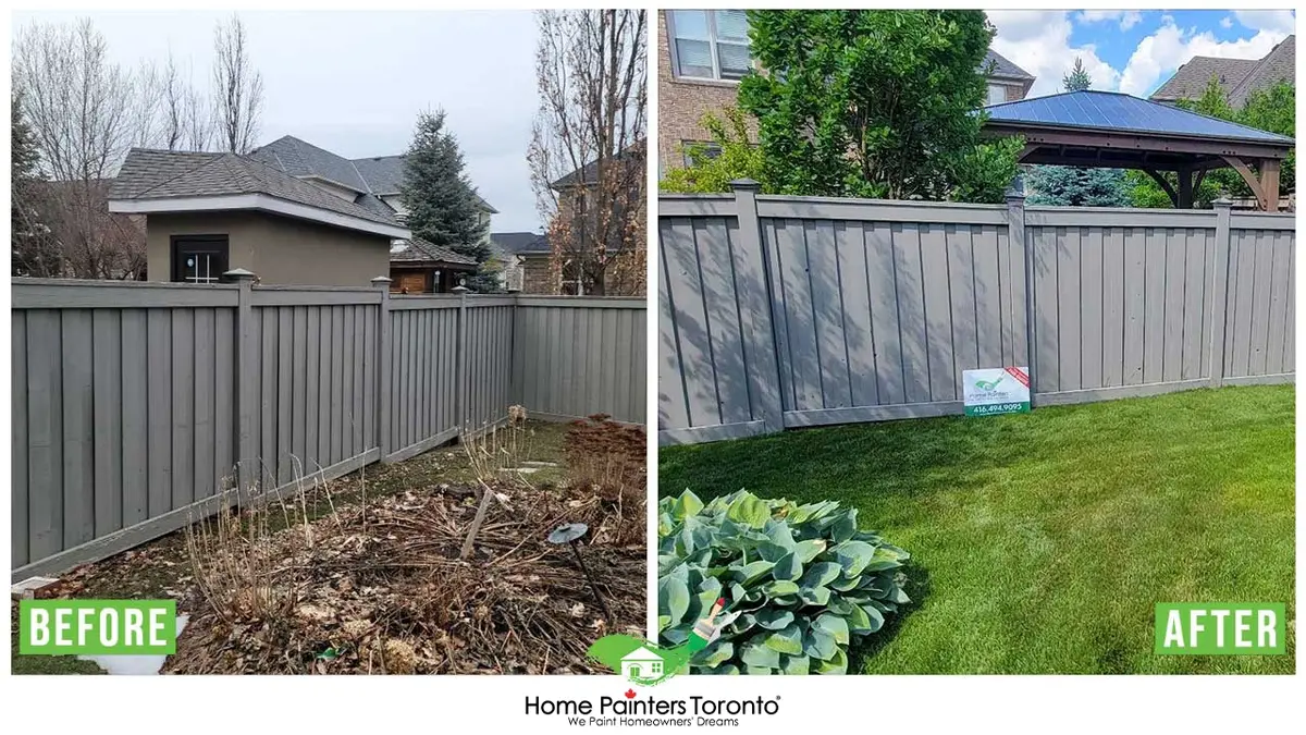 Before and after result of wood fence replacement, repair, painting and staining