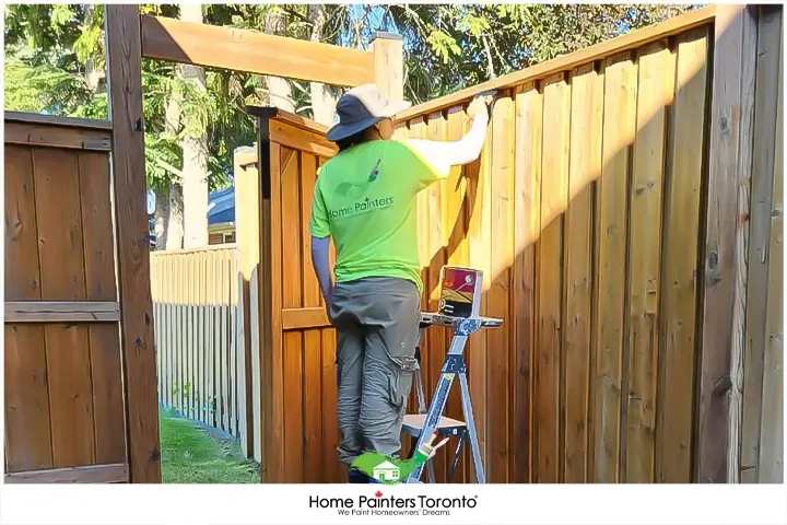 painter staining fence