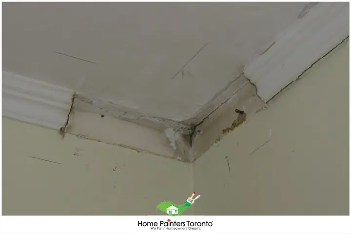 Damaged Crown Moulding