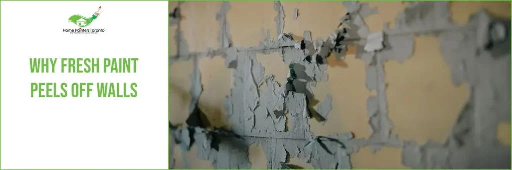 Why Fresh Paint Peels Off Walls