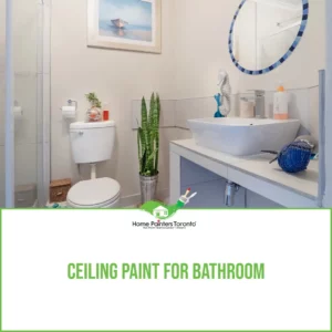 Ceiling Paint For Bathroom