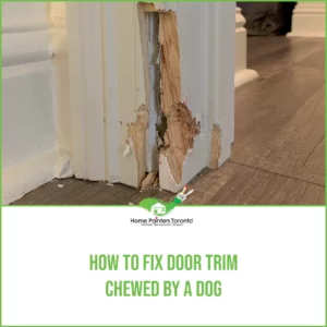 How To Fix Door Trim Chewed By A Dog