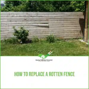 Rotted Fence