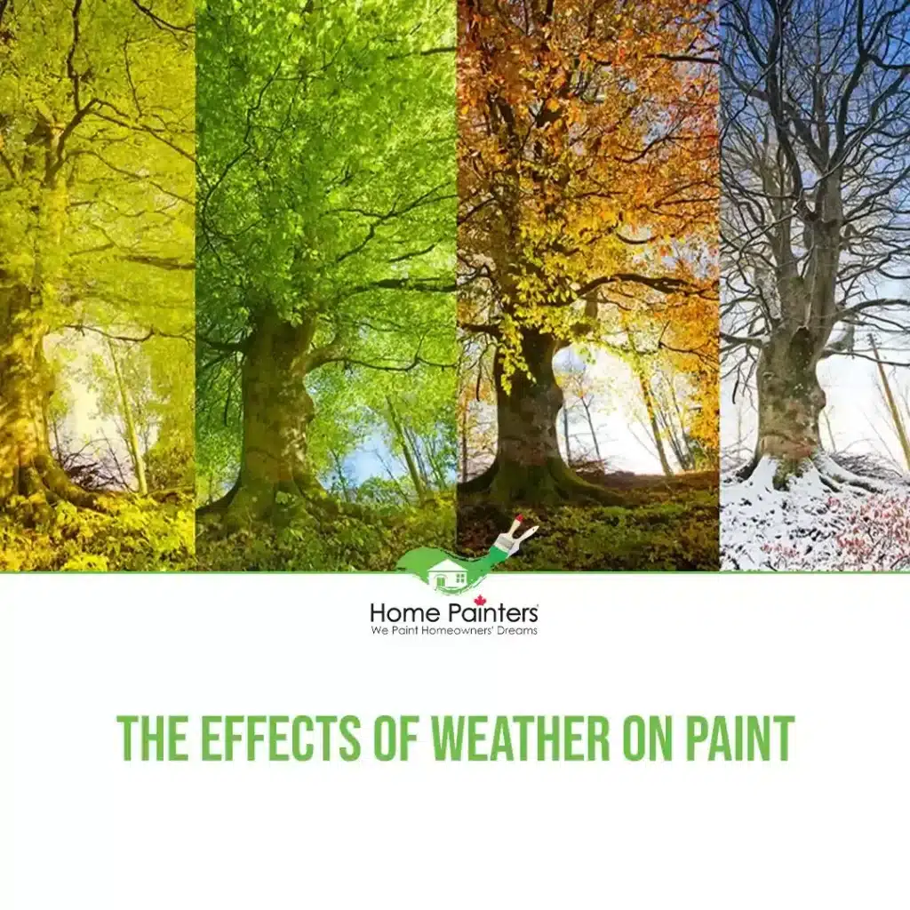 The Effects of Weather on Paint