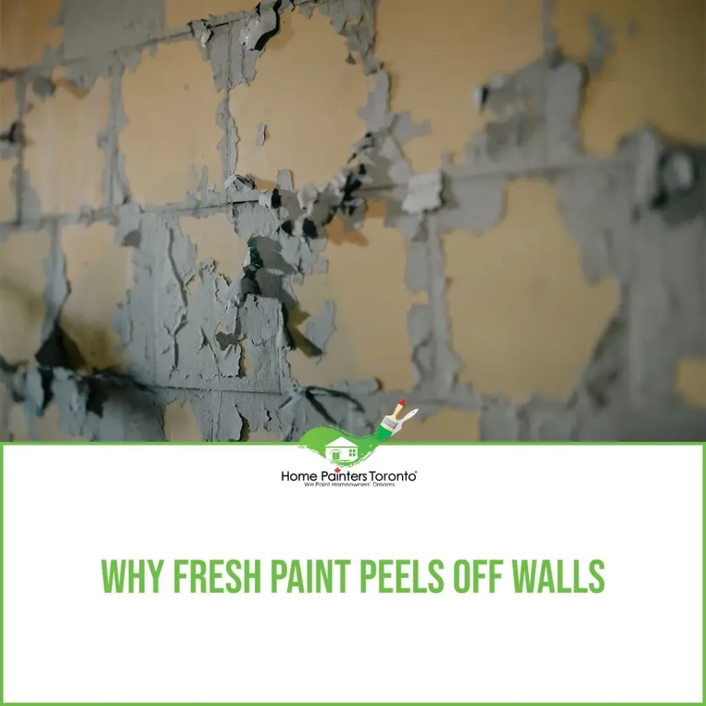 Why Fresh Paint Peels Off Walls