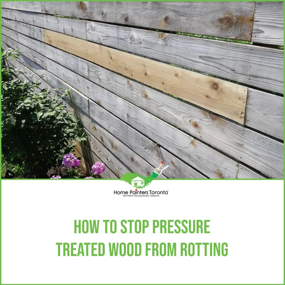 Can You Paint Pressure Treated Wood?